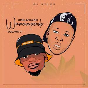 Zibondiwe (feat. Lundi Jrsa)