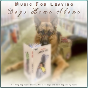 Music For Dogs