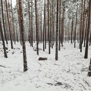 Ensamheten krossar