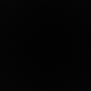 Tricks N Hoes (feat. Lil Stain)