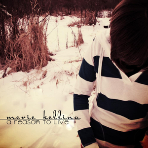 The Spaceship Song (Remix)