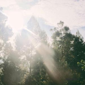 생각을 비우고 하루를 여는 시간