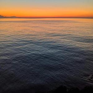 Whispers of the Moon Light