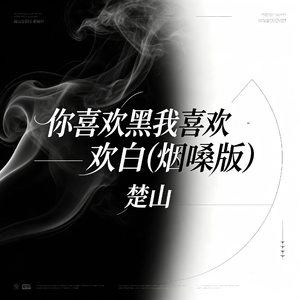 你喜欢黑我喜欢白(烟嗓版)
