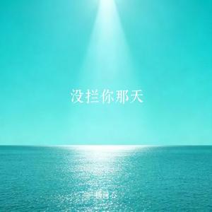 没拦你那天