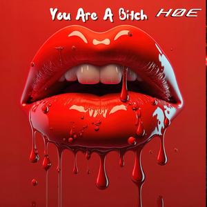 You Are A B***h