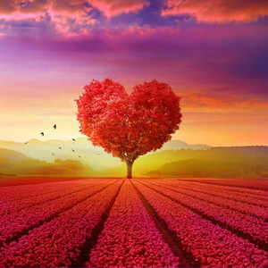 亲爱的你呀 再跳个舞吧