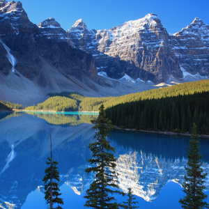 晚安前别说再见