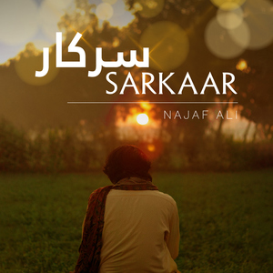 Sarkaar