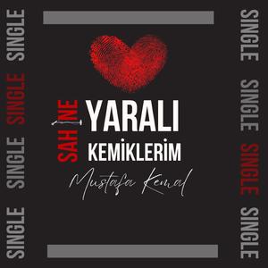 YARALI KEMİKLERİM