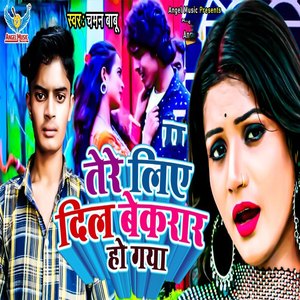 Tere Liye Dil Bekarar Ho Gya