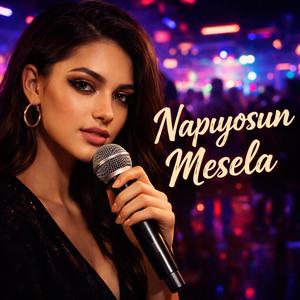 NAPIYOSUN MESELA