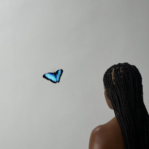 Show You to the World