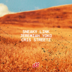 Sneaky Link