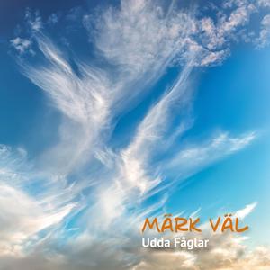 Blues för Fredrik Åkare