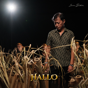Hallo