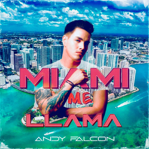 Miami Me Llama