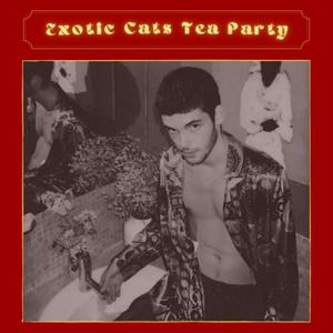 Falling Down The Rabbit Hole