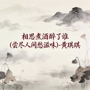 相思煮酒醉了谁 (DJ版)