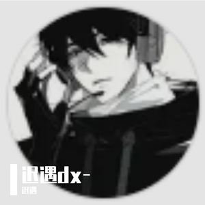 迟遇dx-