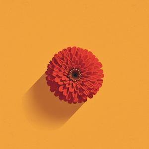 Summer Flame