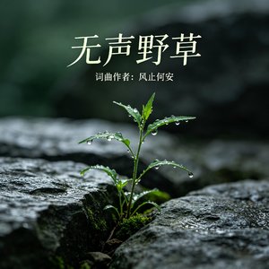 无声野草