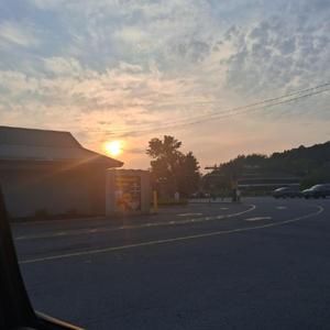 she told my dog to shut up freestyle (feat. cip)