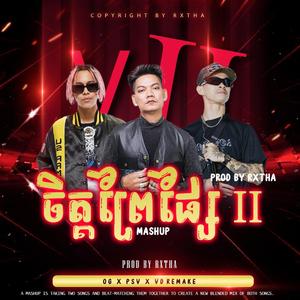 ចិត្តព្រៃផ្សៃ II