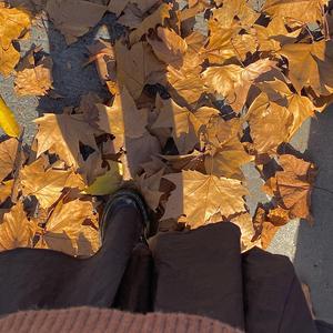 谢谢你降落在我的星球