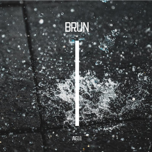 BRUN AG