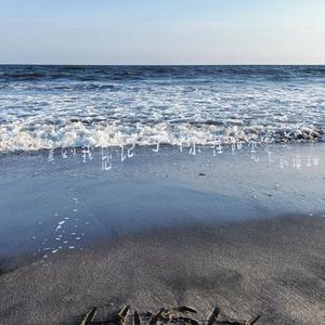 直到我忘记了你在阳光下的模样