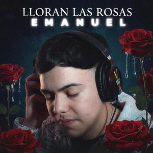 Lloran las rosas