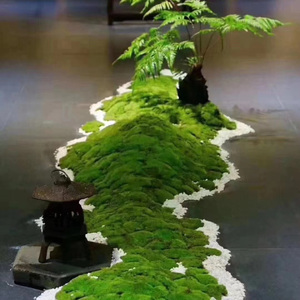 c479707bafae19fff4503c728b52fe1e