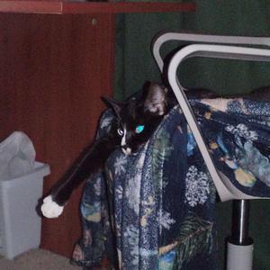 ПОХОРОНЫ ЛЮБОВНИЦЫ