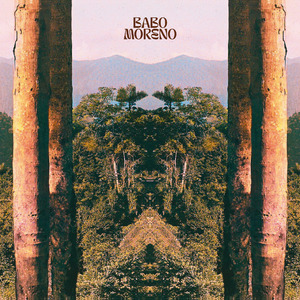 Bicho Preguiça (The Sloth)