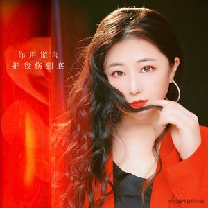 你用谎言把我伤到底