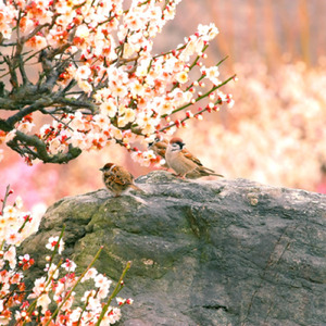 宇宙での貸し借り (feat. 初音ミク)