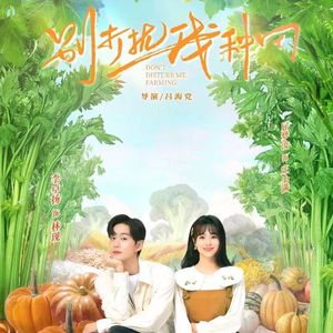 别影响我种田-网剧《别打扰我种田》主题曲
