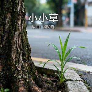 小小草