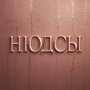 Нюдсы