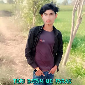 TERE BATAN ME FARAK