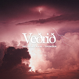 Vile Thunder - Pouring Rain