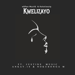 Kwelizayo