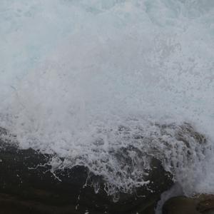 An Afternoon In The South-Eastern Coast Of The Royal National Park