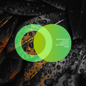 Moonlight (Beat Inside, AYU (UA) Remix)