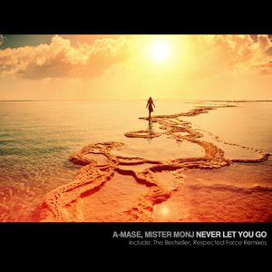 Never Let You Go (The Bestseller Remix)