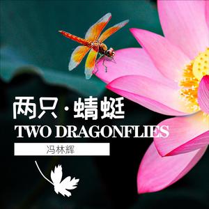两只蜻蜓