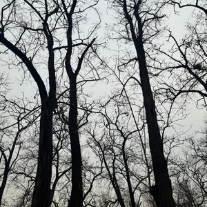 虚伪（prod by Lion-Z狮子)