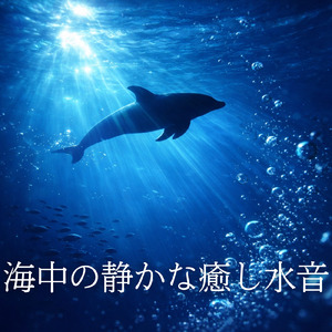 夜の涼しい静寂水音