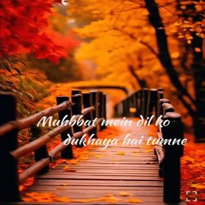 Muhbbat Mein Dil ko Dukhaya Hai Tumne